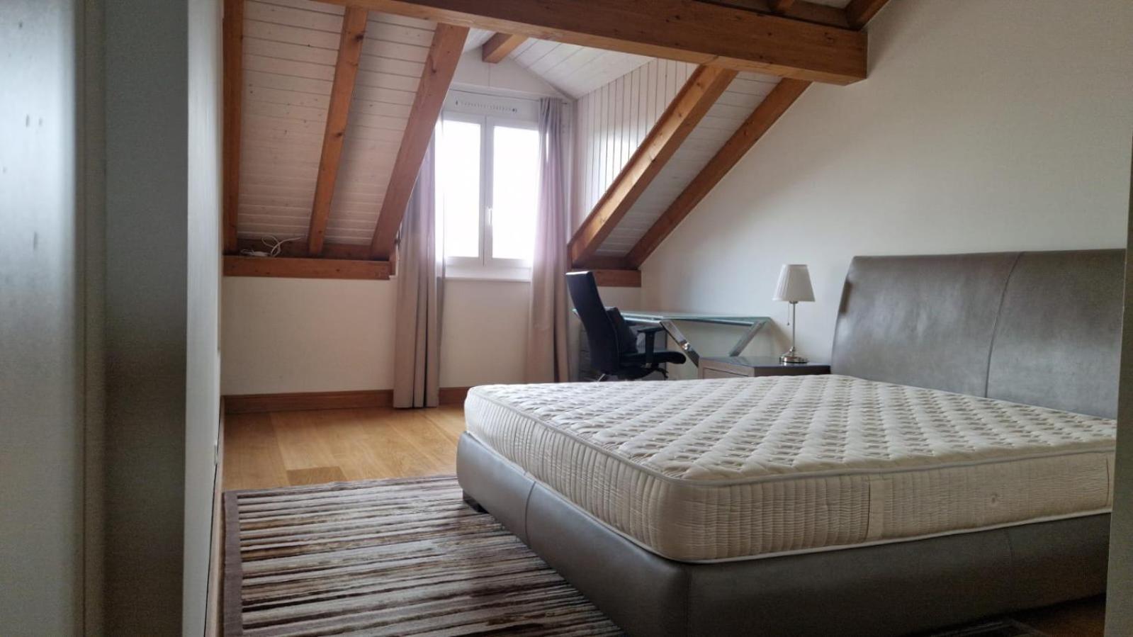 Penthouse In Cologny Switzerland Apartamento Genebra Exterior foto